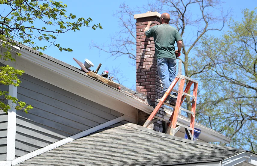 Chimney & Fireplace Inspections Services in Vineyard, CA